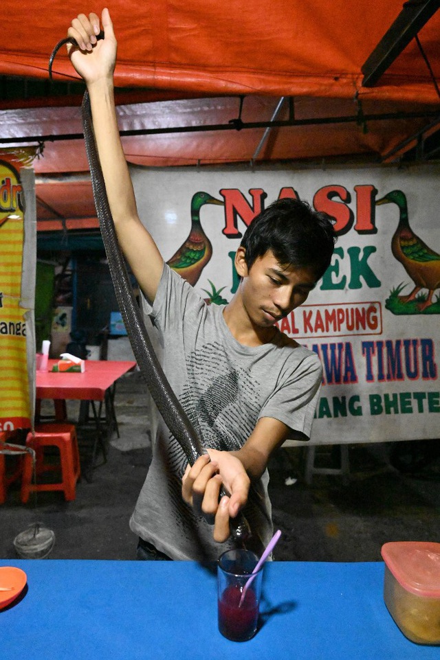 Thịt dơi, rắn khổng lồ bán la liệt trong chợ nổi tiếng Indonesia - Ảnh 4.
