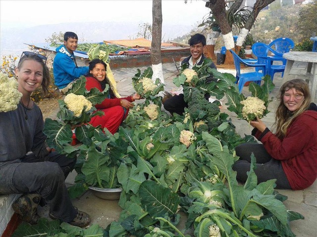 Cuộc sống bình yên trên núi cao của gia đình yêu thích trồng trọt và sống hoàn toàn theo hình thức tự cung tự cấp - Ảnh 19.