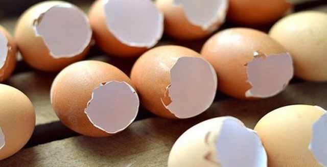 Nghe thì kì quặc nhưng vỏ trứng lại giúp gà mái đẻ nhiều trứng hơn - Ảnh 3.