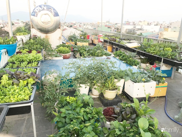 Mong con được ăn rau sạch hàng ngày, bà mẹ Đà Nẵng trồng cả sân thượng xanh um nhờ kinh nghiệm đơn giản - Ảnh 2.