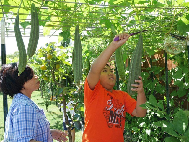 Con gái tặng mẹ vườn rau Việt trên đất Mỹ  - Ảnh 9.