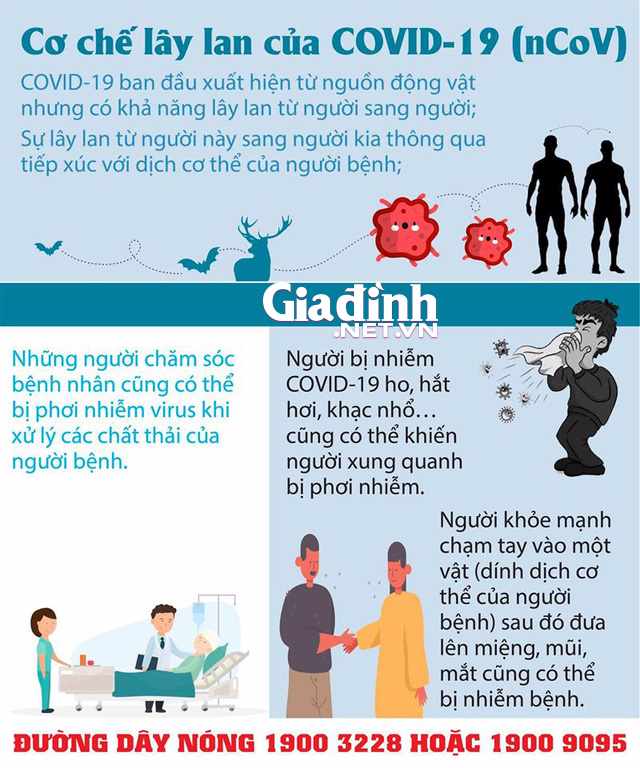 Xuất hiện thông báo giả cho học sinh tỉnh Thái Bình nghỉ học hết tháng 3 vì dịch bệnh COVID-19 - Ảnh 4.