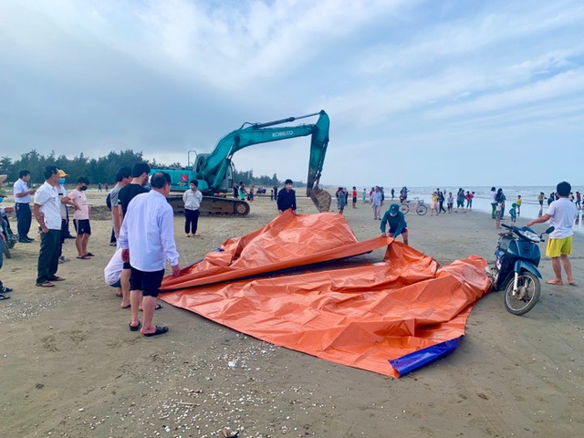 Cận cảnh cá voi khủng trôi dạt vào bờ biển Hà Tĩnh - Ảnh 9.