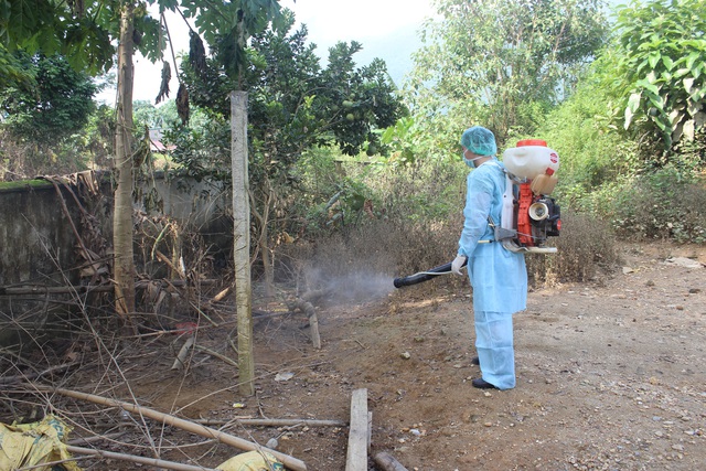 Việt Nam đang đối mặt với nguy cơ về cúm gia cầm bên cạnh dịch corona - Ảnh 4.