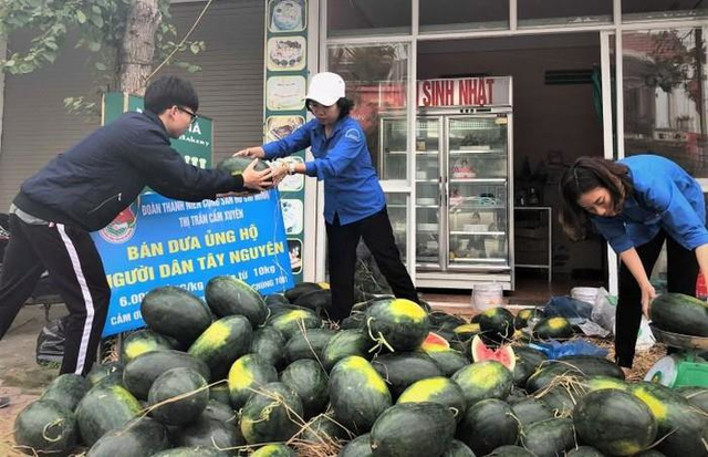 Hà Tĩnh: Đoàn thanh niên giải cứu dưa hấu, kiếm lời mua khẩu trang phát miễn phí - Ảnh 3.