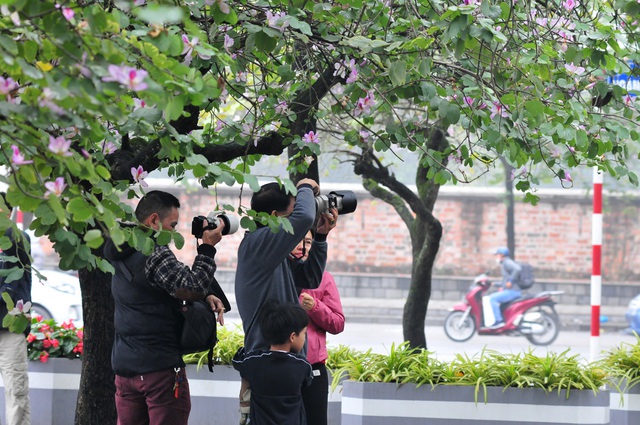 Mặc trời mưa rét, các thiếu nữ Hà thành vẫn diện áo dài chụp ảnh với hoa ban - Ảnh 9.