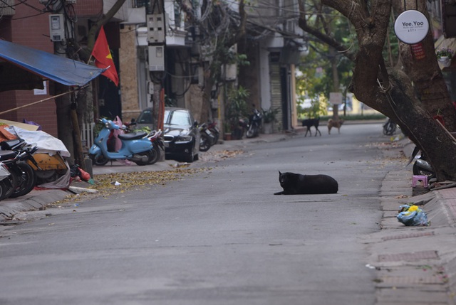 Hàng loạt quán ăn, nhà hàng tạm thời đóng cửa để phòng dịch COVID-19 - Ảnh 4.