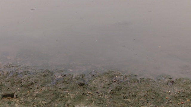Cận cảnh những mảng hóa chất bì rò rỉ từ những thùng phuy đổ trộm xuống sông Hồng  - Ảnh 6.