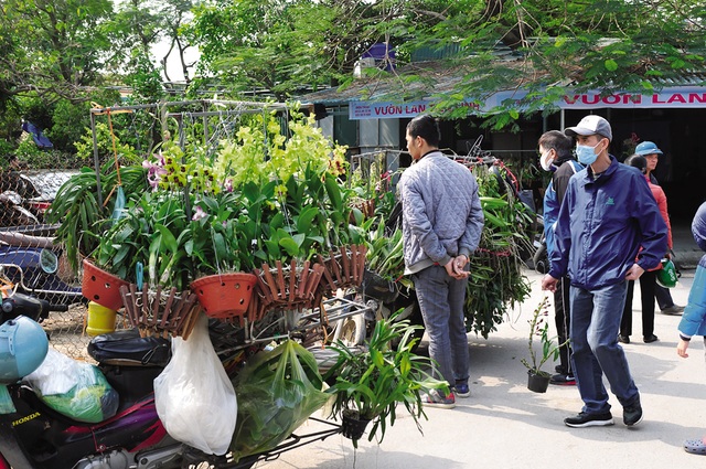 Độc đáo chợ hoa, cây cảnh họp theo phiên - Ảnh 5.