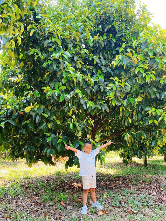 Nhà vườn khó ai bì kịp của NTK vừa thừa nhận rút kinh nghiệm sâu sắc vì kêu gọi từ thiện trong hội anti HH Ý Nhi.