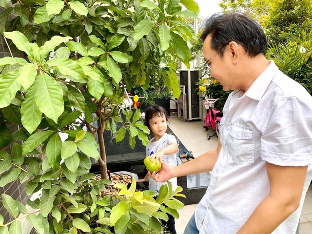 Cây trồng bằng chậu nhưng vẫn cho quả sai lúc lỉu trong biệt thự nhà Trịnh Kim Chi - Ảnh 11.
