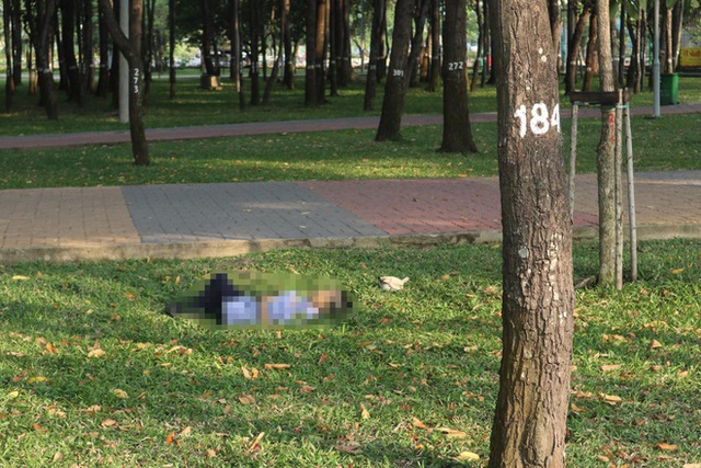 Người đàn ông tử vong trong công viên ở TP.HCM - Ảnh 1.