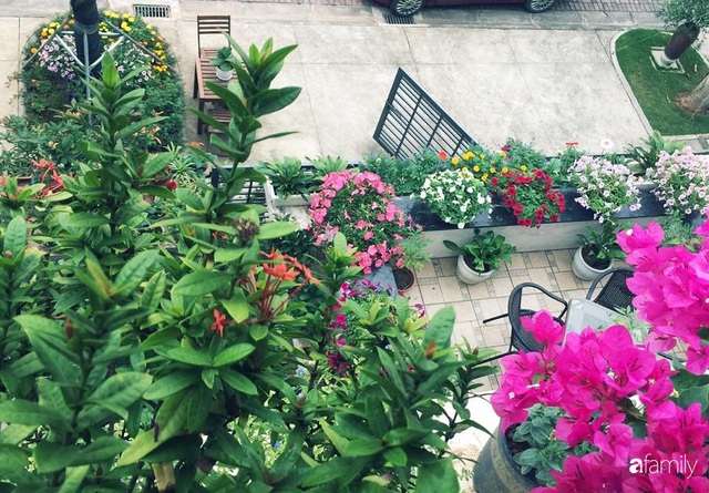 Không gian sống ngát hương bên khu vườn ngập tràn nắng ấm và rực rỡ sắc hoa ở Hà Nội - Ảnh 15.