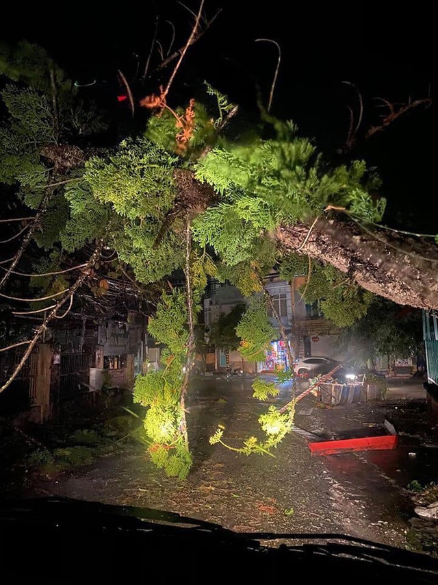 Mưa đá bất ngờ ở Yên Bái, Lào Cai: Hạt mưa to như viên bi, gió quật đổ mái nhà, cây cối đổ rạp xuống đường - Ảnh 5.