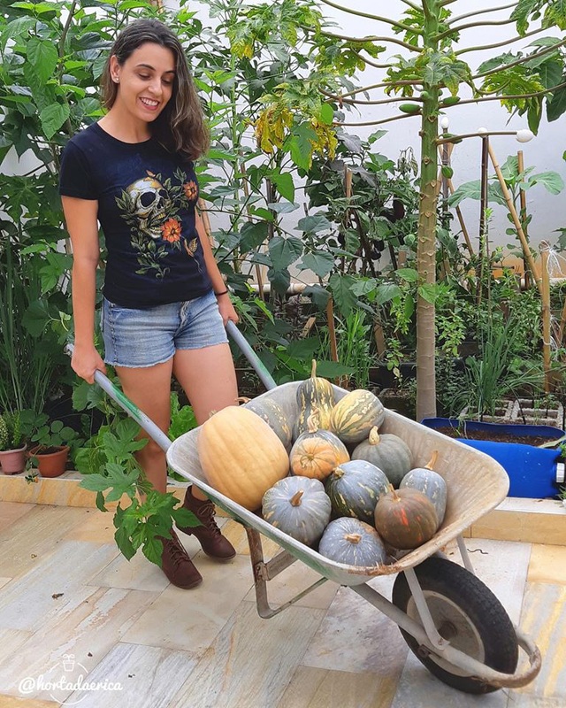 Vườn rau quả sạch tốt tươi rộng 32m² của nữ y tá đam mê trồng trọt - Ảnh 2.