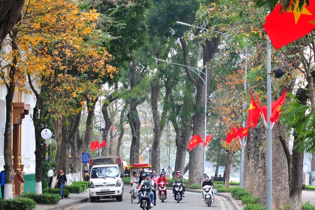 Những hàng cây rực rỡ lá vàng, lá đỏ trên đường phố Hà Nội - Ảnh 2.