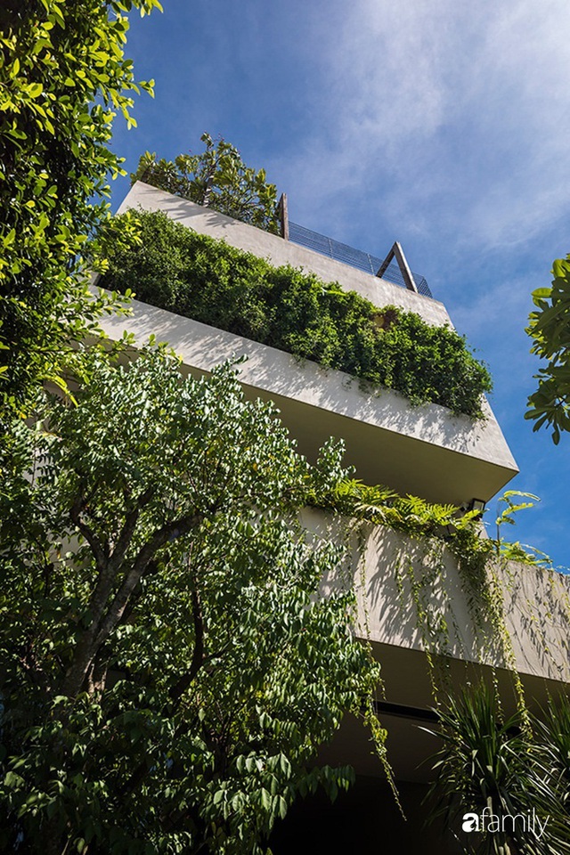 Ngôi nhà 200m² đẹp bình yên với cây xanh trồng kín từ trệt đến mái ở quận 2, TP. HCM - Ảnh 3.