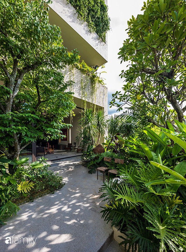 Ngôi nhà 200m² đẹp bình yên với cây xanh trồng kín từ trệt đến mái ở quận 2, TP. HCM - Ảnh 5.