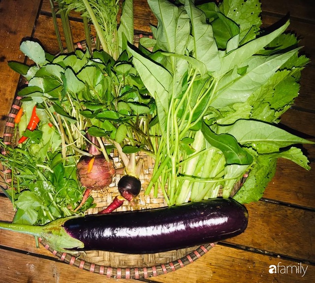 Vườn rau quả tốt tươi đủ loại giúp cả nhà quanh năm được thưởng thức đồ sạch ở Lâm Đồng - Ảnh 33.