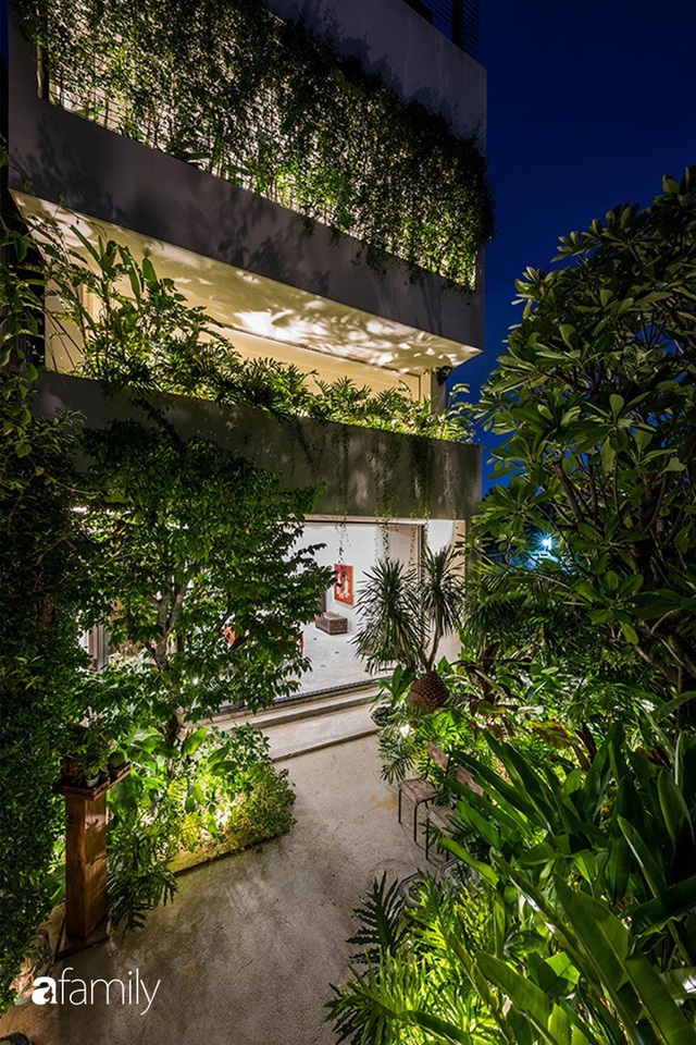 Ngôi nhà 200m² đẹp bình yên với cây xanh trồng kín từ trệt đến mái ở quận 2, TP. HCM - Ảnh 7.