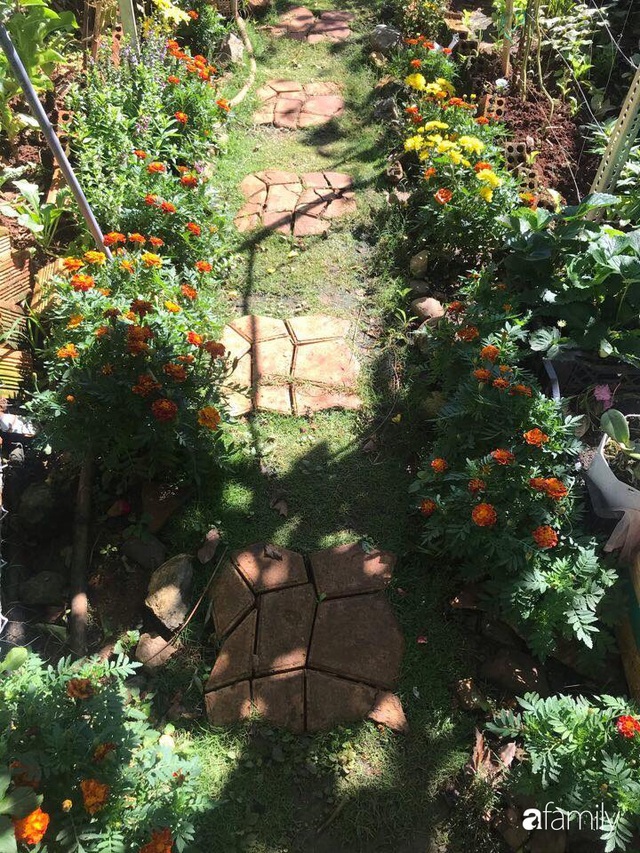 Vườn rau quả tốt tươi đủ loại giúp cả nhà quanh năm được thưởng thức đồ sạch ở Lâm Đồng - Ảnh 9.