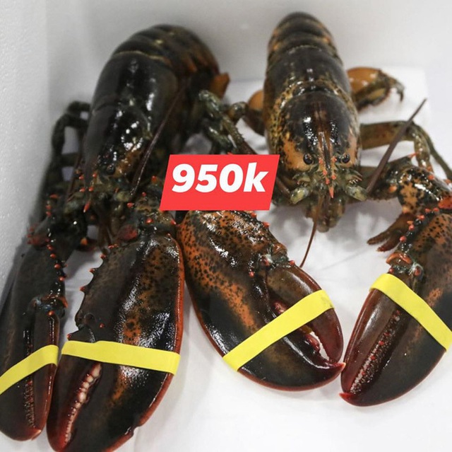 Đại hạ giá tôm hùm xanh 169.000 đồng/con, tôm Alaska 700.000 đồng/kg - Ảnh 2.