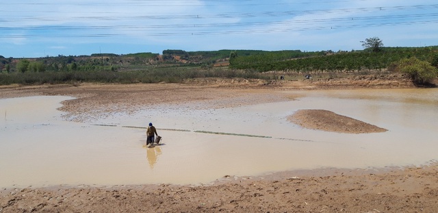 Tây Nguyên khô hạn trên diện rộng, dân lao đao vì thiếu nước ngọt - Ảnh 1.