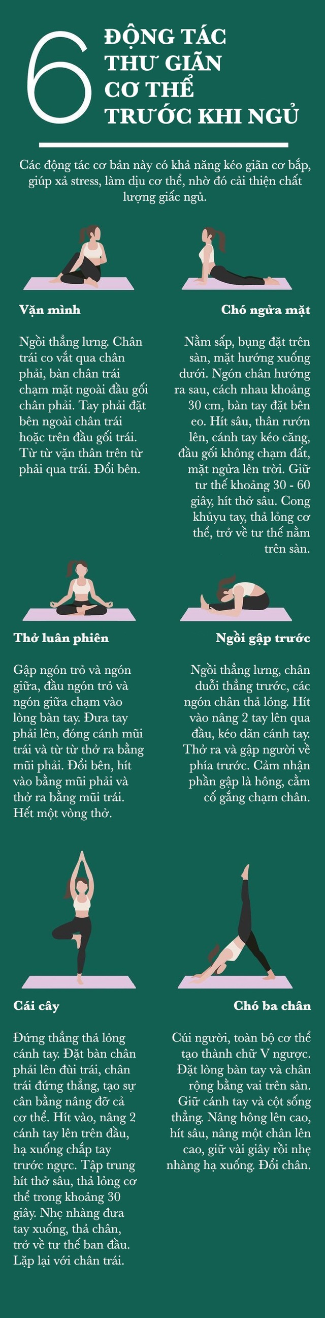 6 bài yoga kéo giãn cơ bắp, xả stress - Ảnh 1.