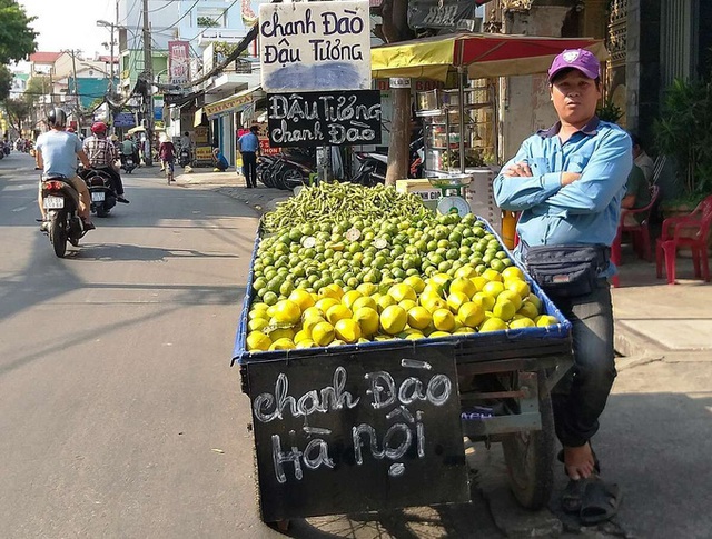 Trái cây miền Bắc giảm giá mạnh khi vào Nam - Ảnh 4.