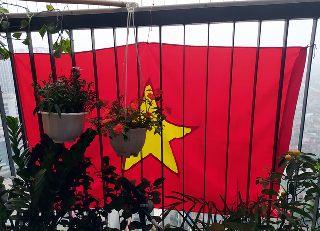 Chung cư ở Hà Nội treo cờ Tổ quốc cổ vũ Việt Nam chiến thắng dịch COVID-19 - Ảnh 13.