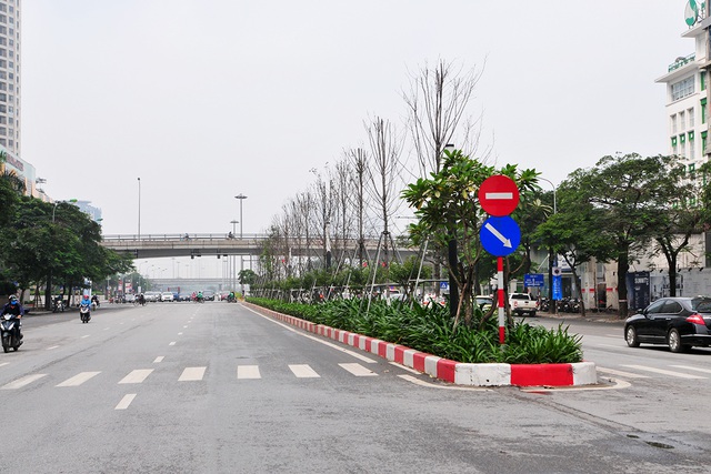 Hàng cây phong lá đỏ đường Trần Duy Hưng, Nguyễn Chí Thanh khô cằn, xơ xác đến thảm hại - Ảnh 2.