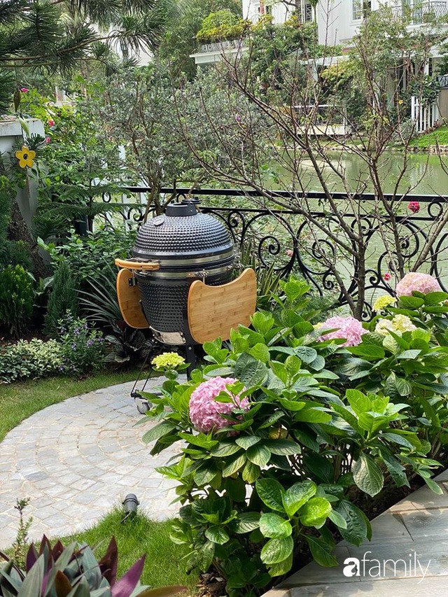 Người đàn ông đang sở hữu góc vườn đẹp hút hồn ở Hà Nội chia sẻ kinh nghiệm trồng cây để có khu vườn đẹp như châu Âu - Ảnh 3.