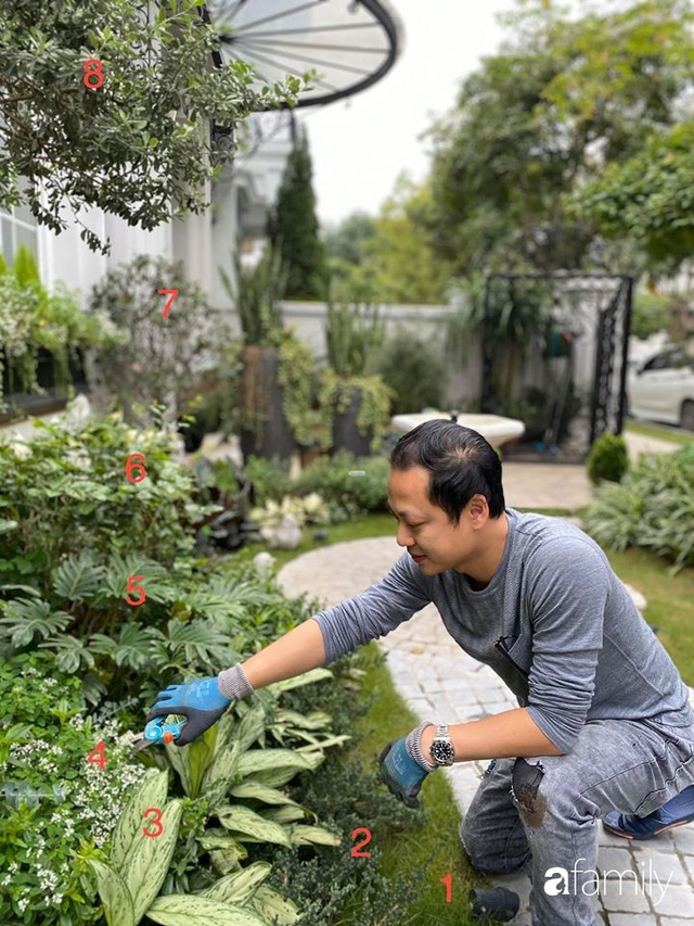 Người đàn ông đang sở hữu góc vườn đẹp hút hồn ở Hà Nội chia sẻ kinh nghiệm trồng cây để có khu vườn đẹp như châu Âu - Ảnh 5.