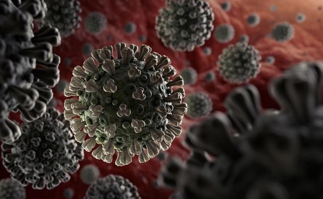 Mỹ phát hiện cách virus SARS-CoV-2 trốn hệ miễn dịch, WHO dự báo đỉnh dịch tại Malaysia - Ảnh 1.