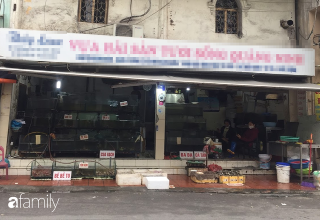 Mách lẻo đoạn phố bán các loại hải sản Quảng Ninh vẫn còn nhảy tanh tách trong bể - Ảnh 2.