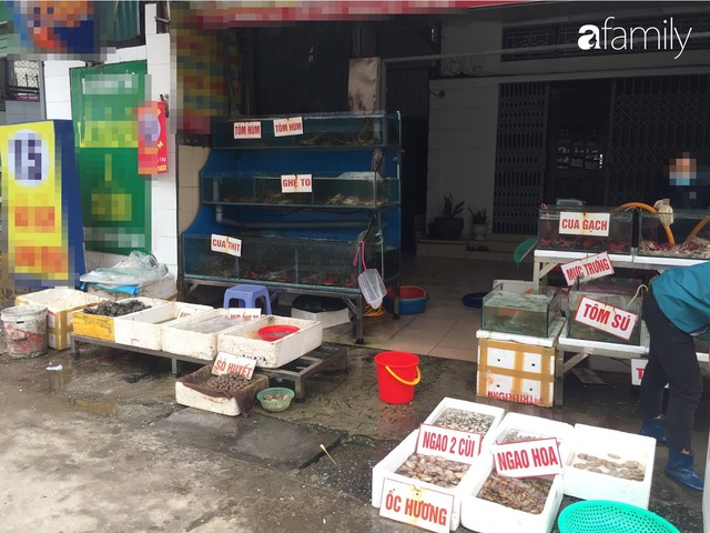 Mách lẻo đoạn phố bán các loại hải sản Quảng Ninh vẫn còn nhảy tanh tách trong bể - Ảnh 3.