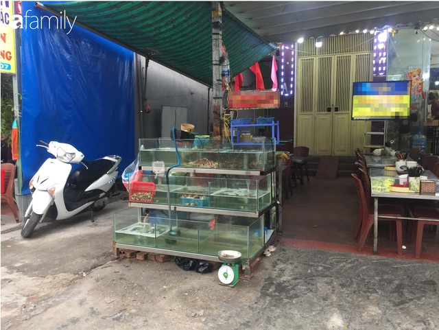 Mách lẻo đoạn phố bán các loại hải sản Quảng Ninh vẫn còn nhảy tanh tách trong bể - Ảnh 4.