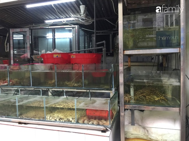 Mách lẻo đoạn phố bán các loại hải sản Quảng Ninh vẫn còn nhảy tanh tách trong bể - Ảnh 5.