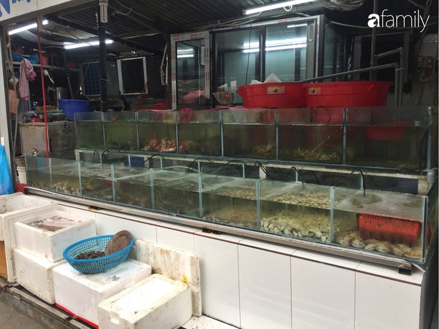 Mách lẻo đoạn phố bán các loại hải sản Quảng Ninh vẫn còn nhảy tanh tách trong bể - Ảnh 6.