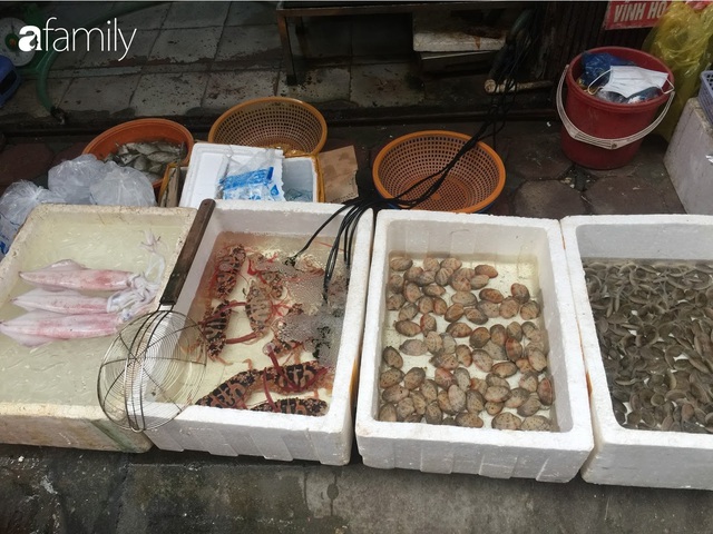 Mách lẻo đoạn phố bán các loại hải sản Quảng Ninh vẫn còn nhảy tanh tách trong bể - Ảnh 7.