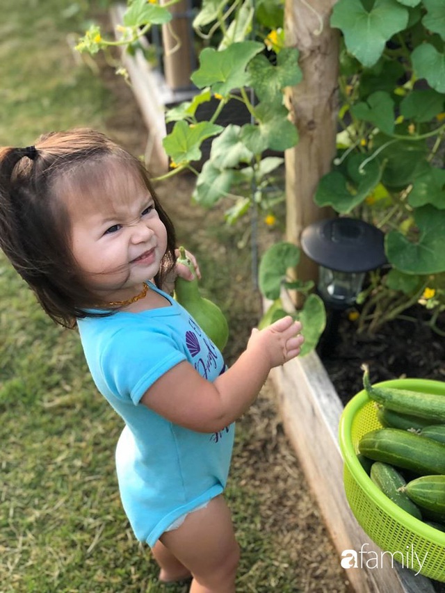 Bận rộn kinh doanh, mẹ Việt vẫn sưu tầm hạt giống để trồng cả khu vườn đủ loại hoa trái - Ảnh 5.