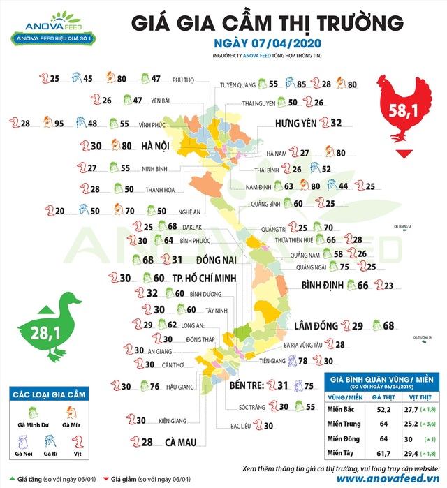 Nguồn cung dư thừa, thịt và trứng gia cầm giảm sâu - Ảnh 2.