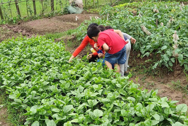 Mẹ bày trò chơi giúp hai con nghỉ dịch không thấy chán - Ảnh 5.