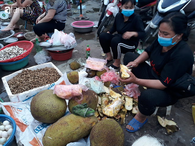 Mít mật, mít dai ruột vàng ruộm, múi dày, ngọt giá 25-30 ngàn đồng/kg bán khắp chợ dân sinh Hà Nội - Ảnh 2.