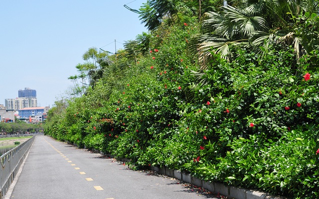 Sự thay đổi đáng kinh ngạc của tuyến đường đi bộ dọc sông Tô Lịch sau một năm đi vào hoạt động - Ảnh 4.