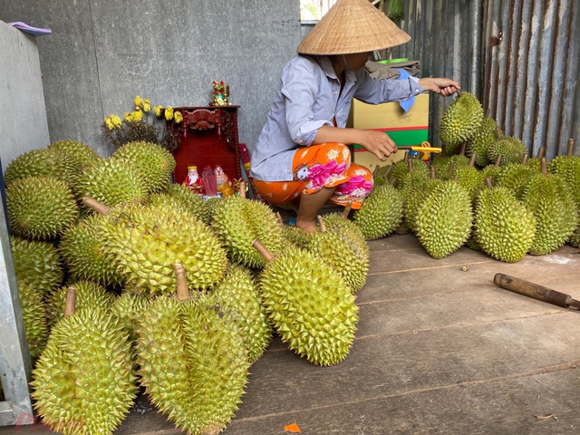 Vua của các loại trái cây đại hạ giá ở vỉa hè Sài Gòn, vì sao? - Ảnh 2.