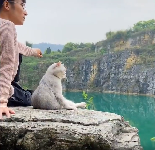 Boss mèo được sen dắt đi chơi khắp thế gian khiến dân mạng vừa ghen tị vừa phát cuồng vì quá sức đáng yêu - Ảnh 2.