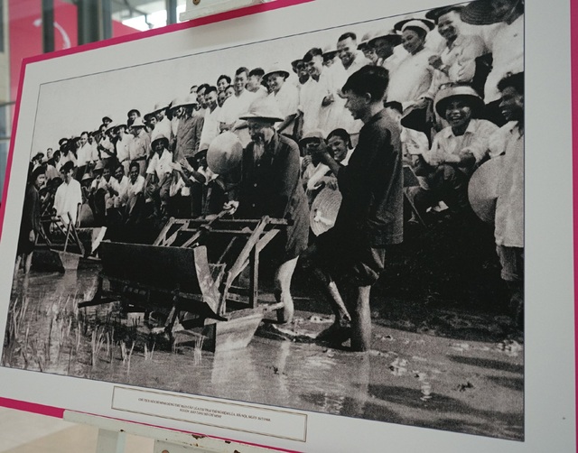 Những hình ảnh bình dị của Chủ tịch Hồ Chí Minh với quân và dân ta - Ảnh 2.