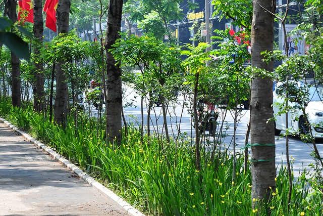 Cận cảnh tuyến đường đi bộ cực đẹp mới xuất hiện trên phố Thái Hà - Ảnh 5.