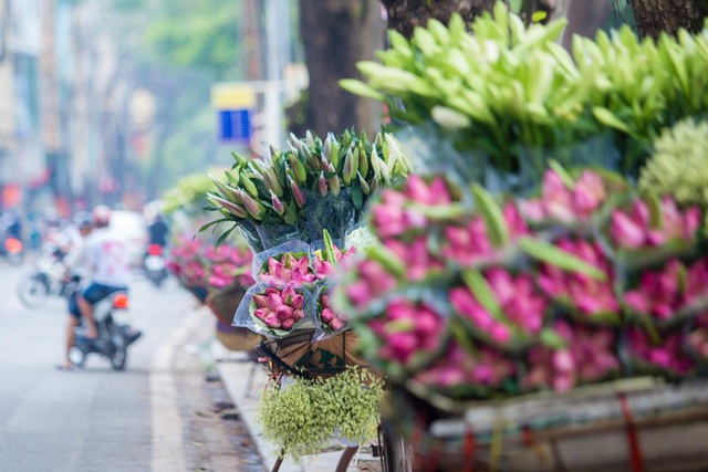  Hoa sen đầu mùa rục rịch lên phố  - Ảnh 6.